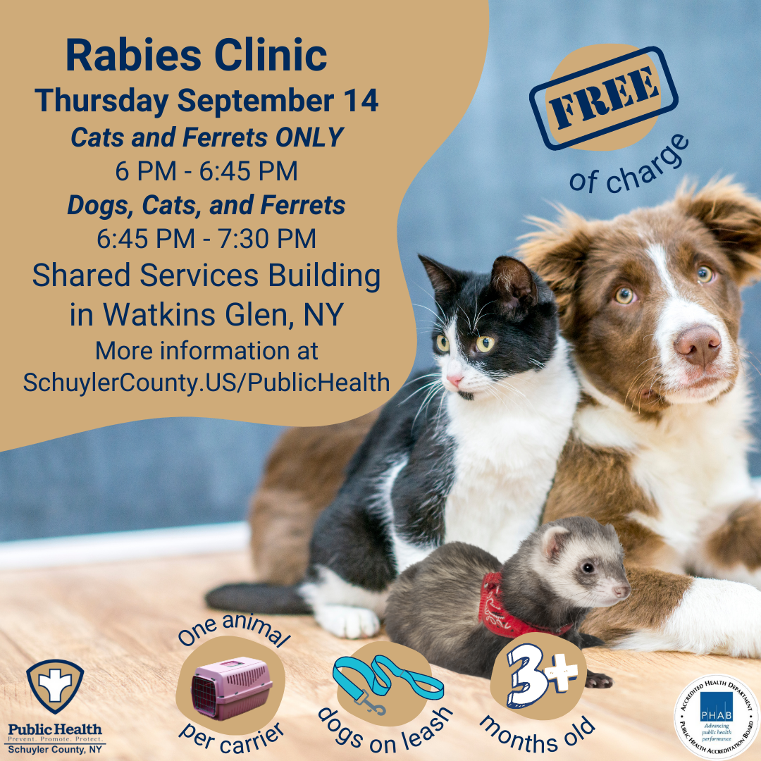 Flyer with information about when and where the rabies clinic is